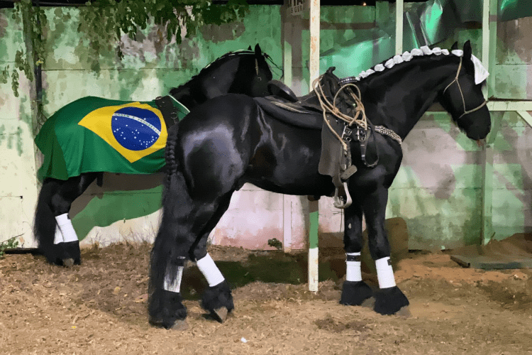 2º dia da Festa de Peão Boiadeiro de Muriaé promote agitar o público neste  sábado