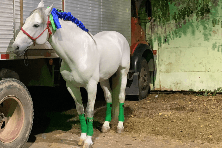 2º dia da Festa de Peão Boiadeiro de Muriaé promote agitar o público neste  sábado